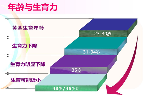 女性生育力与年龄