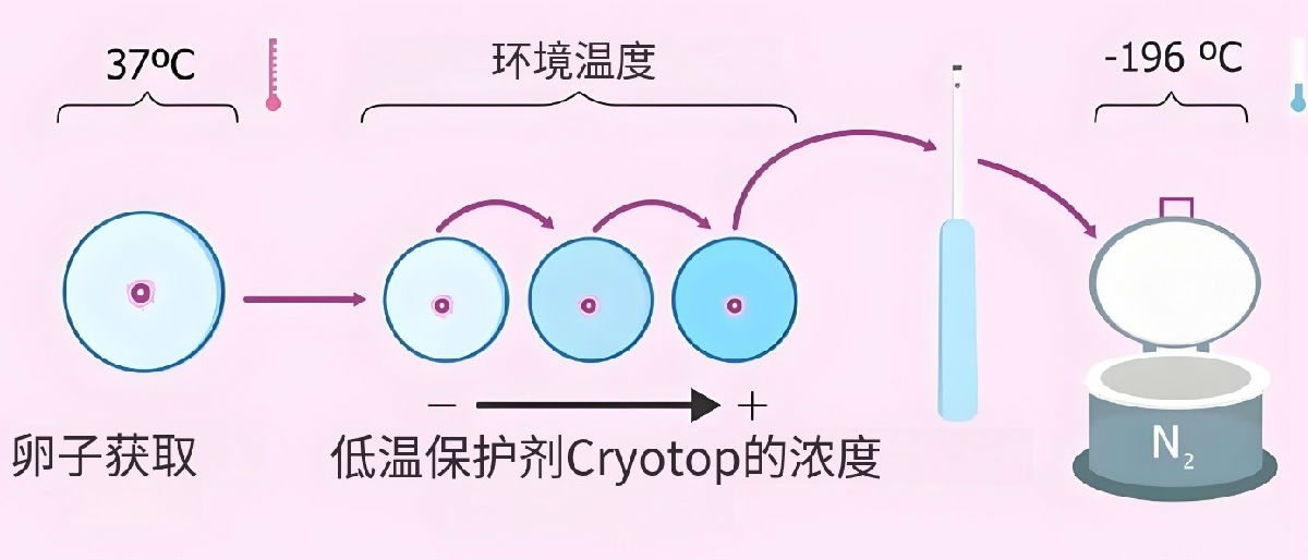 冷冻方案