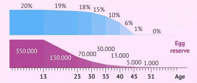 年龄与卵泡数