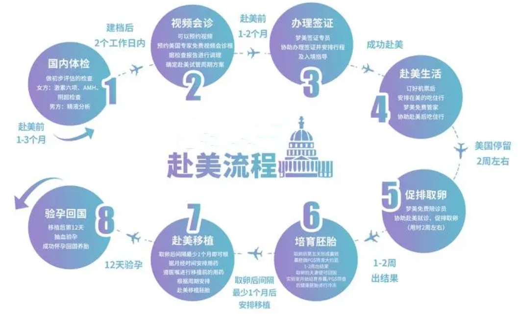 赴美试管婴儿流程