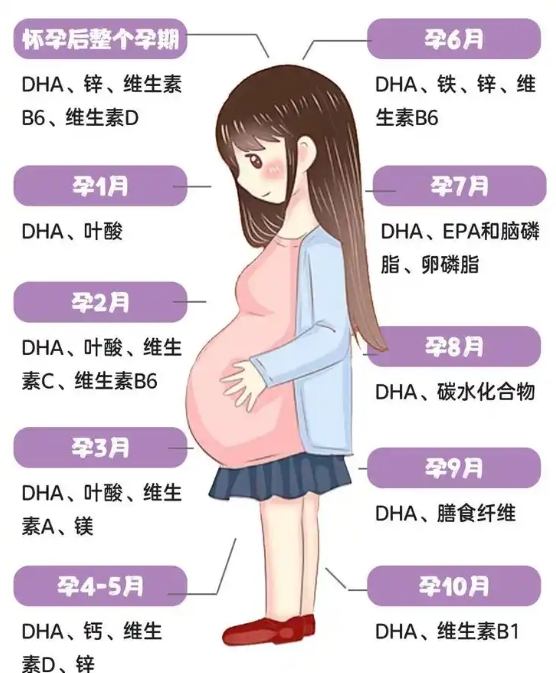 孕期营养