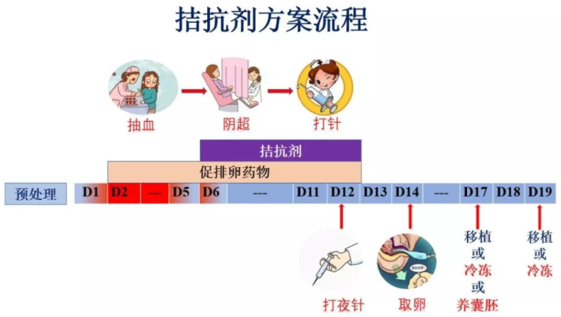 拮抗剂方案