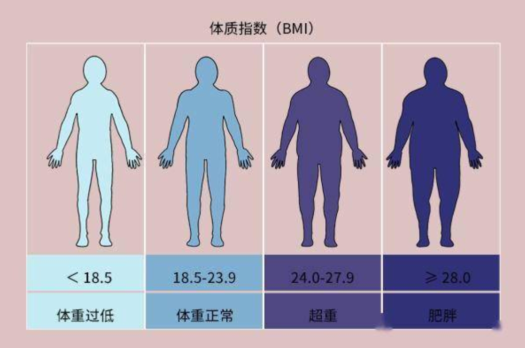 体重