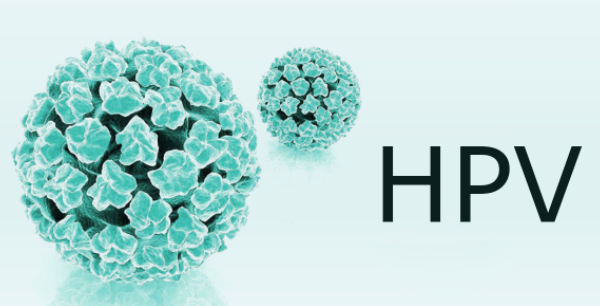 hpv 病毒
