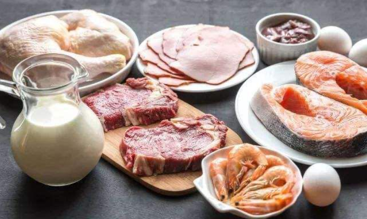 蛋白质食物