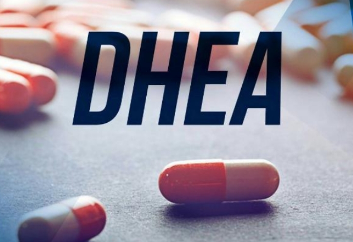 DHEA
