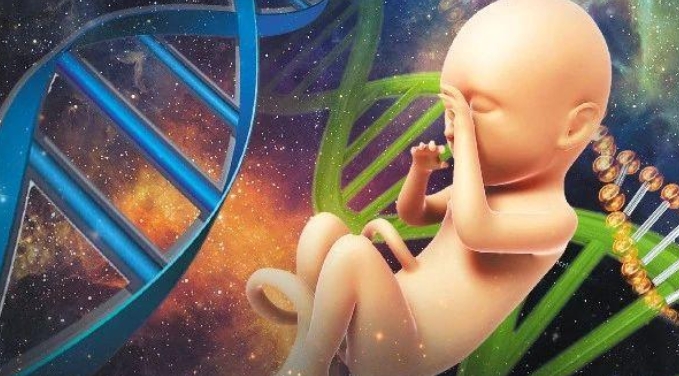 美国试管婴儿技术