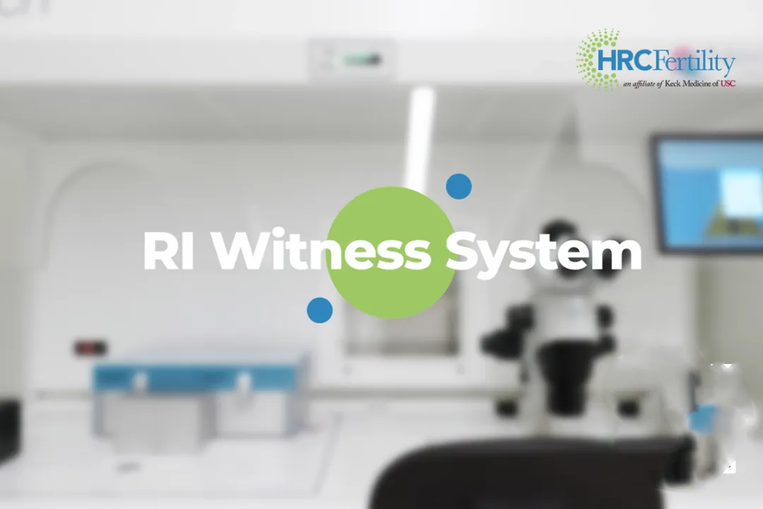 RI Witness系统8.png