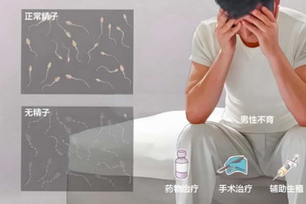 男性不育问题 男性不育问题