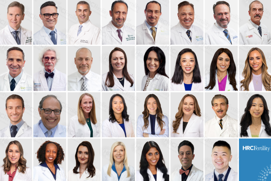 美国试管专家团