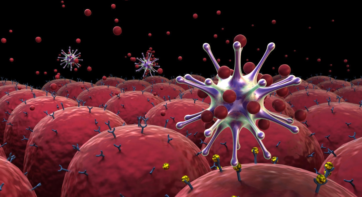 病理性细菌入侵