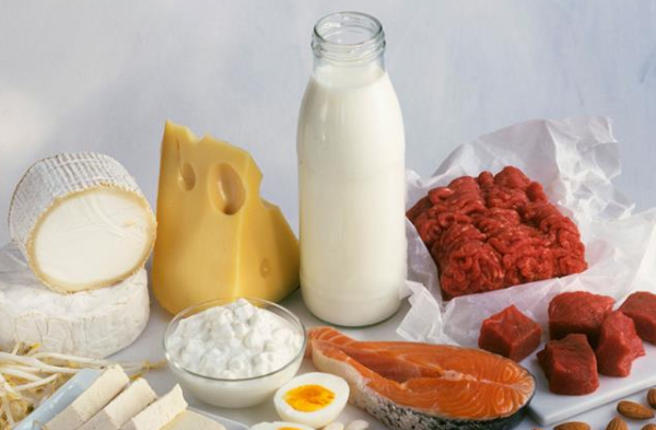 蛋白食物