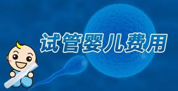 美国试管婴儿费用