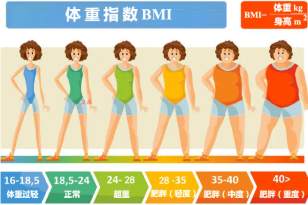 体重指数