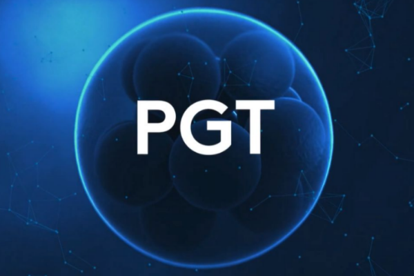 pgT技术