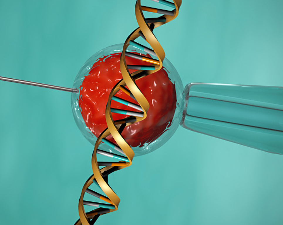 单精子与第三代试管婴儿技术