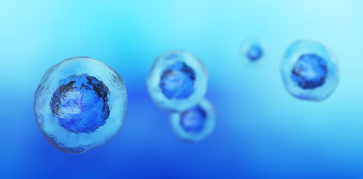 生育力保存技术