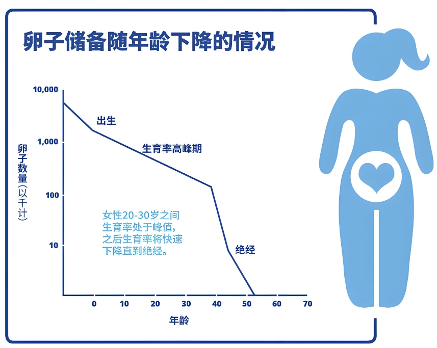 卵子储备随着年龄增长下降