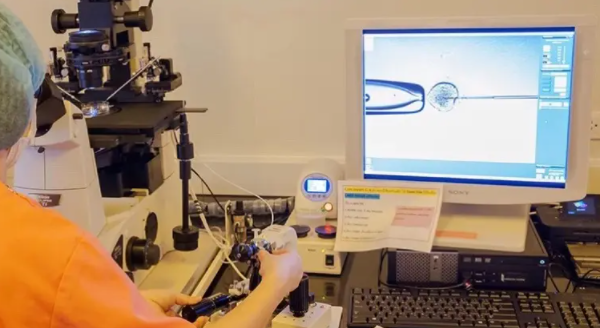 单精子注射流程