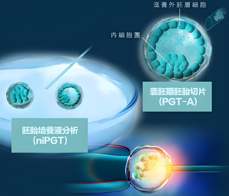 PGT技术