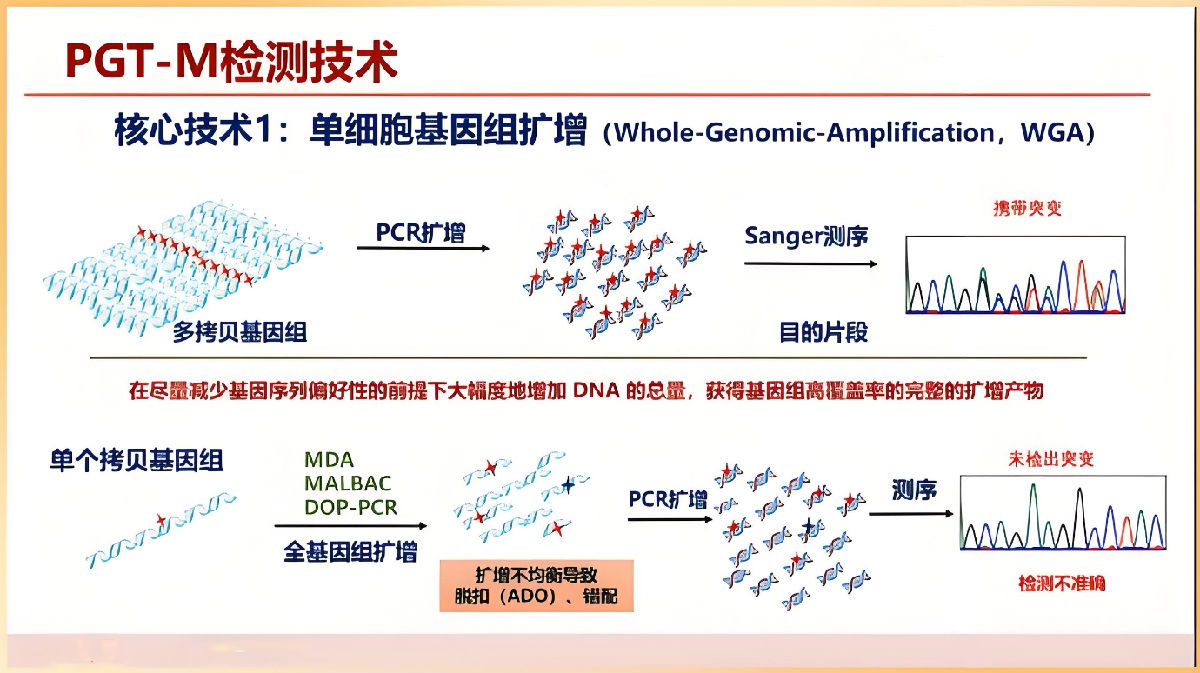 PGT技术