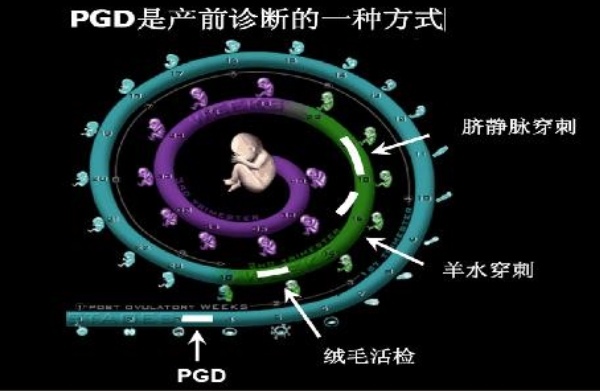 pgd技术