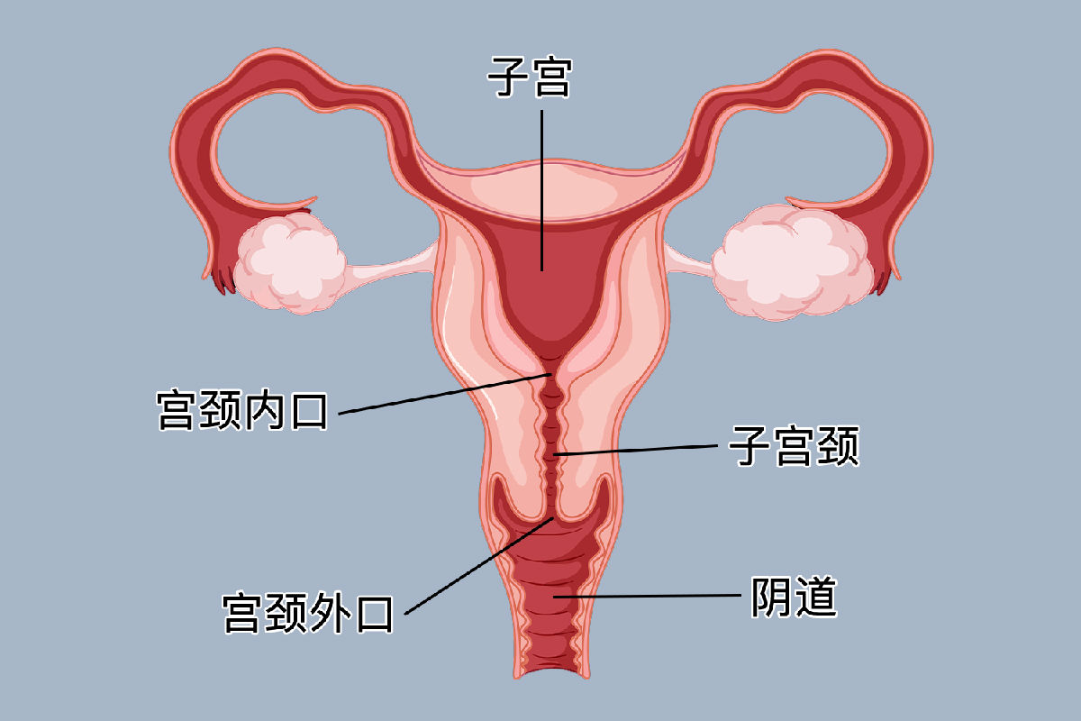 f2f7fbe8c78dd83dfcfbefa4c8eb4e1c.png