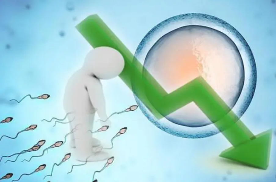 精子质量