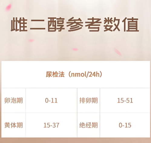 雌二醇