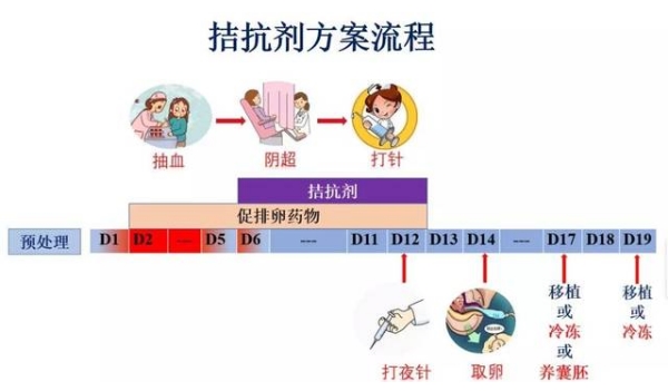 拮抗剂方案