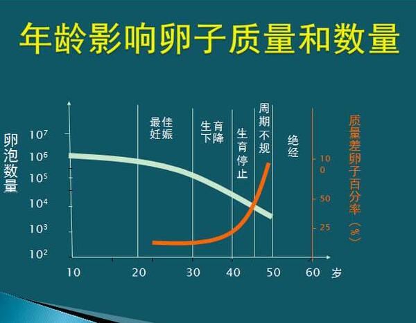 年龄与卵子数量与质量