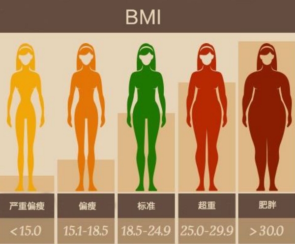 bmi体重