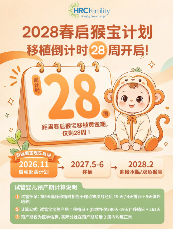 生肖猴宝宝
